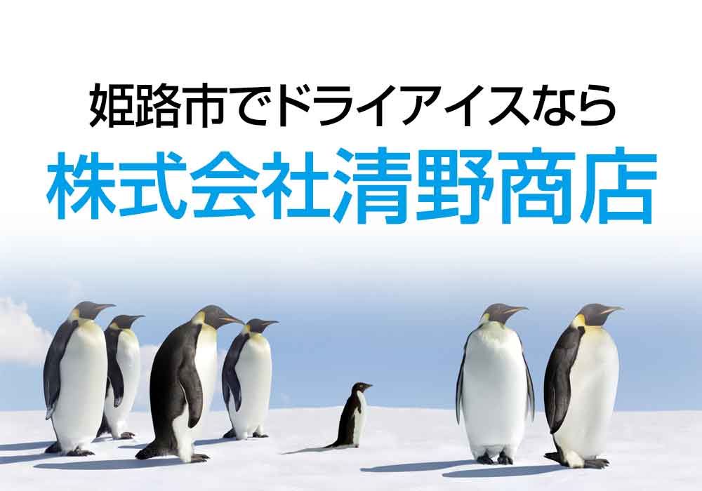 株式会社清野商店